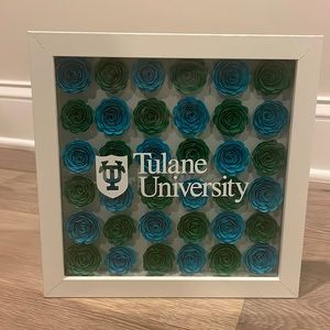 Tulane University Shadow Box